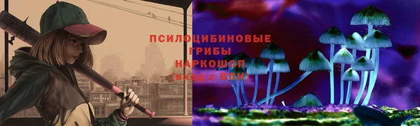 apvp Лагань