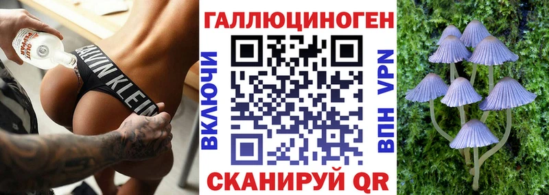 Галлюциногенные грибы GOLDEN TEACHER Липецк