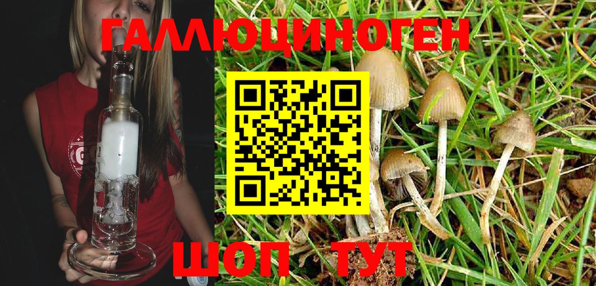 Псилоцибиновые грибы GOLDEN TEACHER Липецк