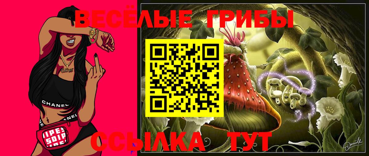 Галлюциногенные грибы прущие грибы  Вход с VPN  Липецк  Псилоцибиновые грибы ЛСД 
